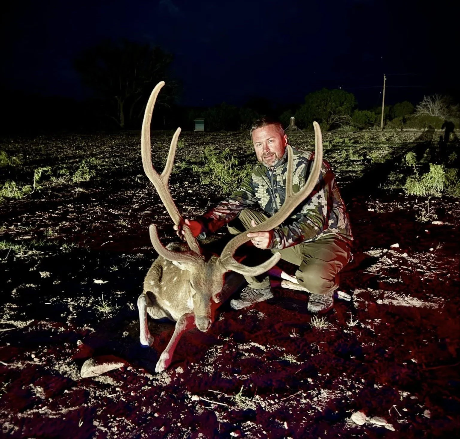 trophy axis buck 7.jpg