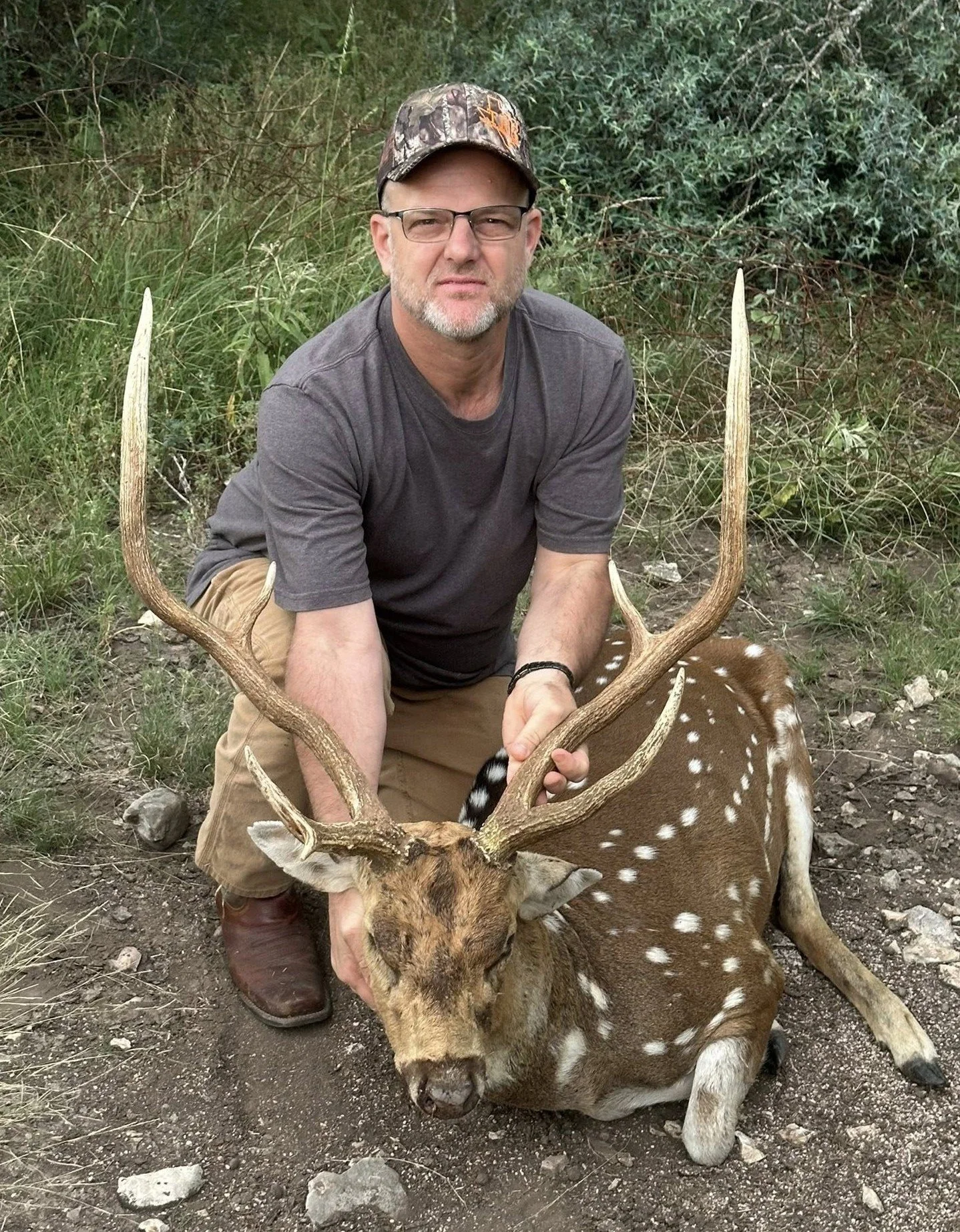 trophy axis buck 10.jpg