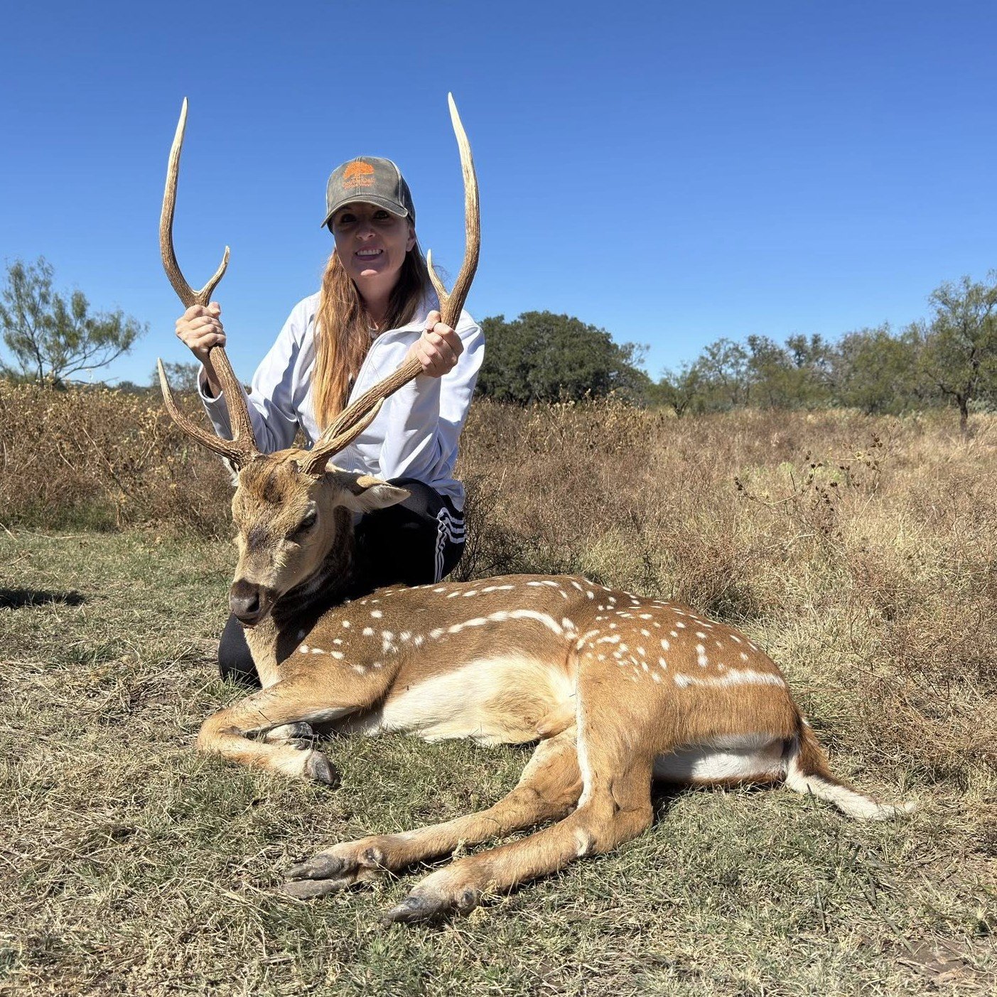 trophy axis buck 12.jpg