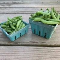 snap peas.jpeg