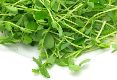 pea-shoots-1.jpeg