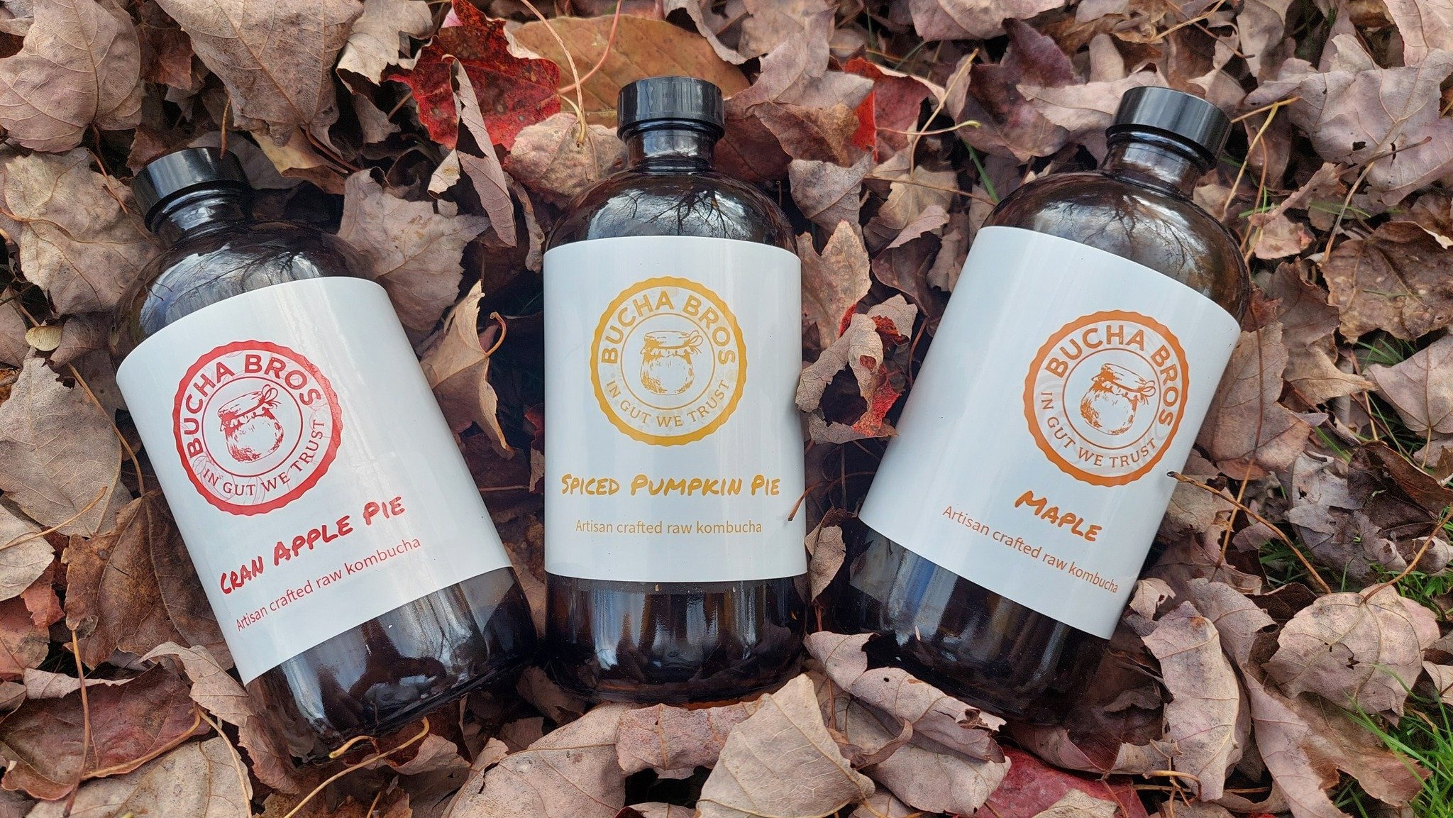 558775001_122193456614545537_7511074601197346321_n (1) - Eddie Fisher.jpg