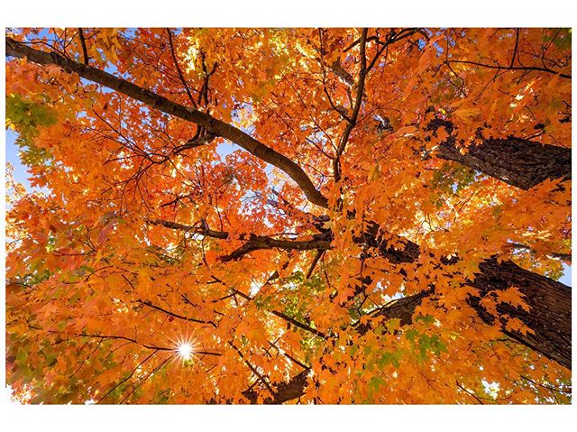 It&rsquo;s a fall sneak peak. .
.
.
.
.
.
.
#beautifuldestinations #landscapelovers #ig_newengland_igers #newenglandphotography #newenglandphotographer #ig_massachusetts #massachusettsphotographer #moodynature  #neverstopexploring #justgoshoot #explo