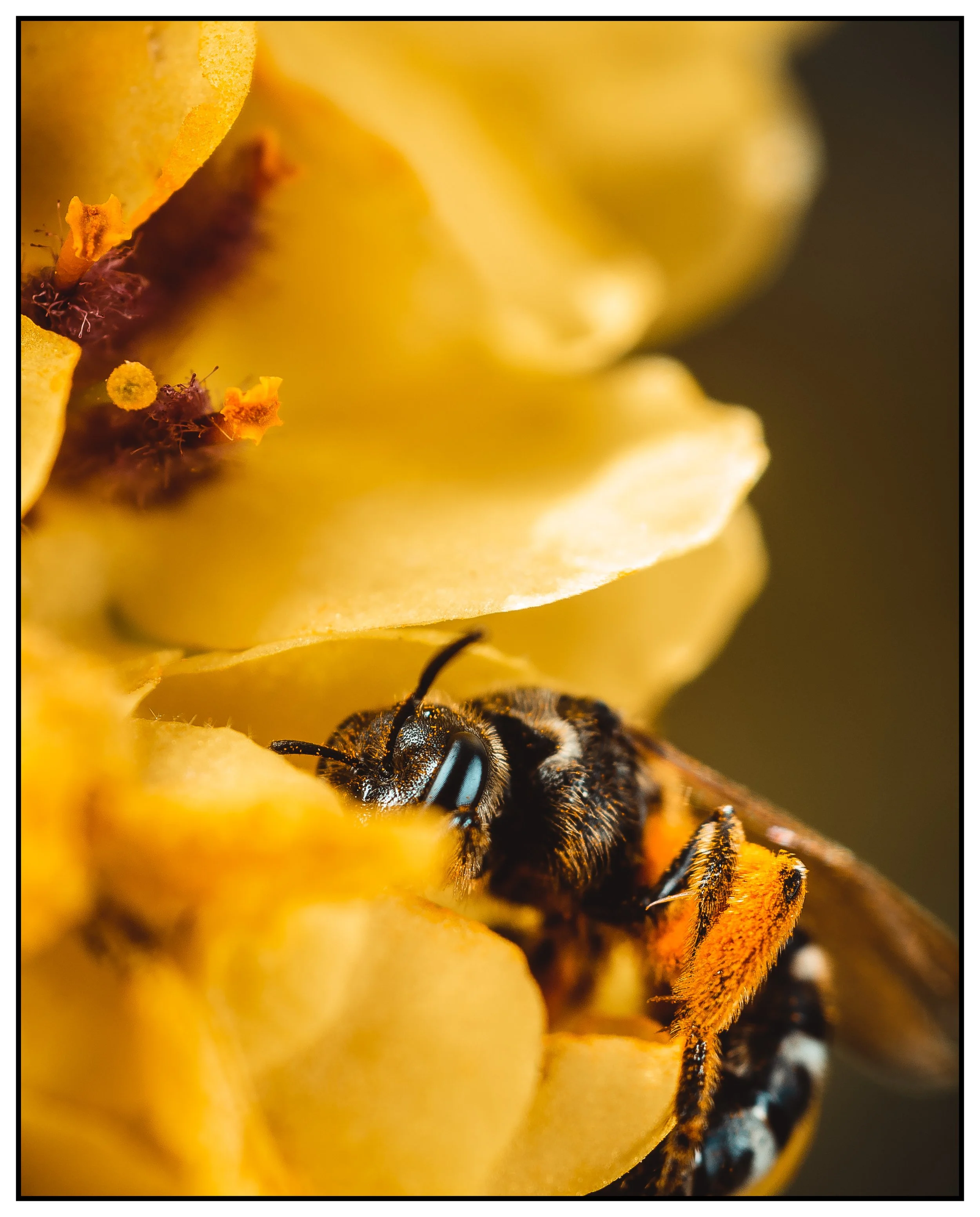 DSC_2156-Edit-2.jpg