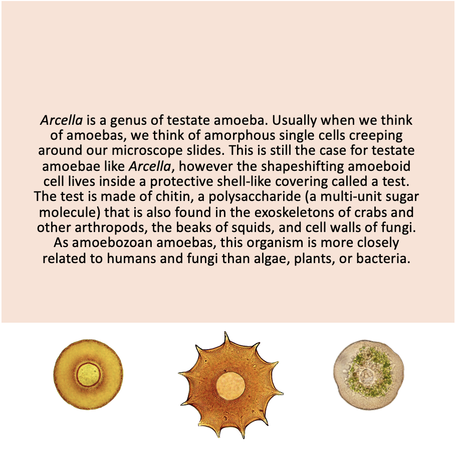 Screenshot 2024-10-19 at 3.03.17 PM.png