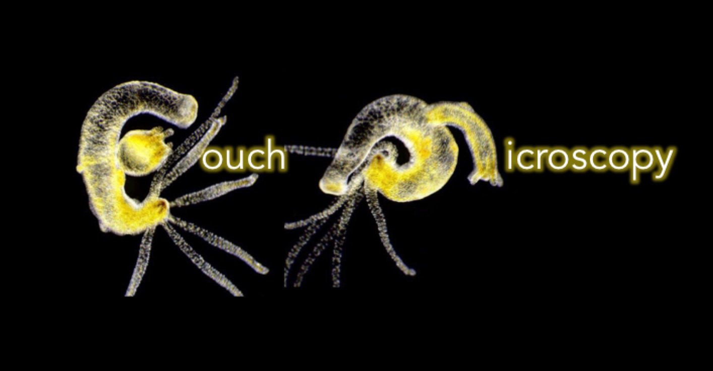 Logo+copy.jpg