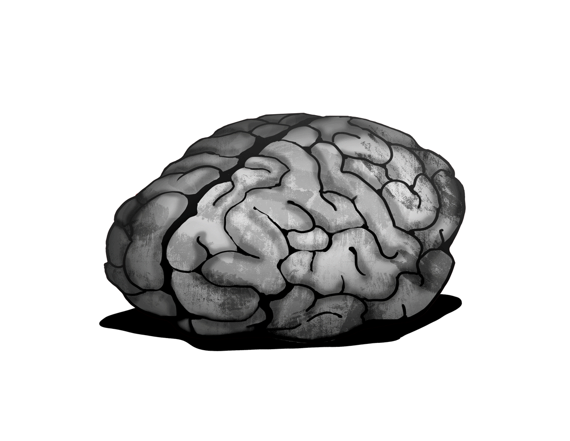 brain.gif