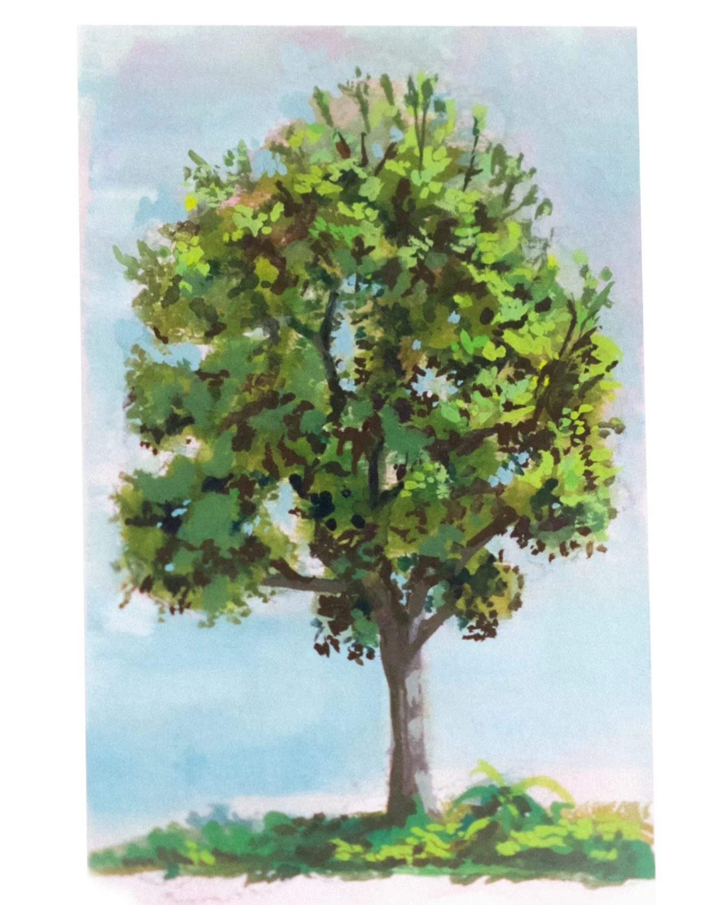 Plein air tree at Laguna beach 🏝️ 

#pleinairpainting #art #creative #gouache #tree #study #traditional #lagooner