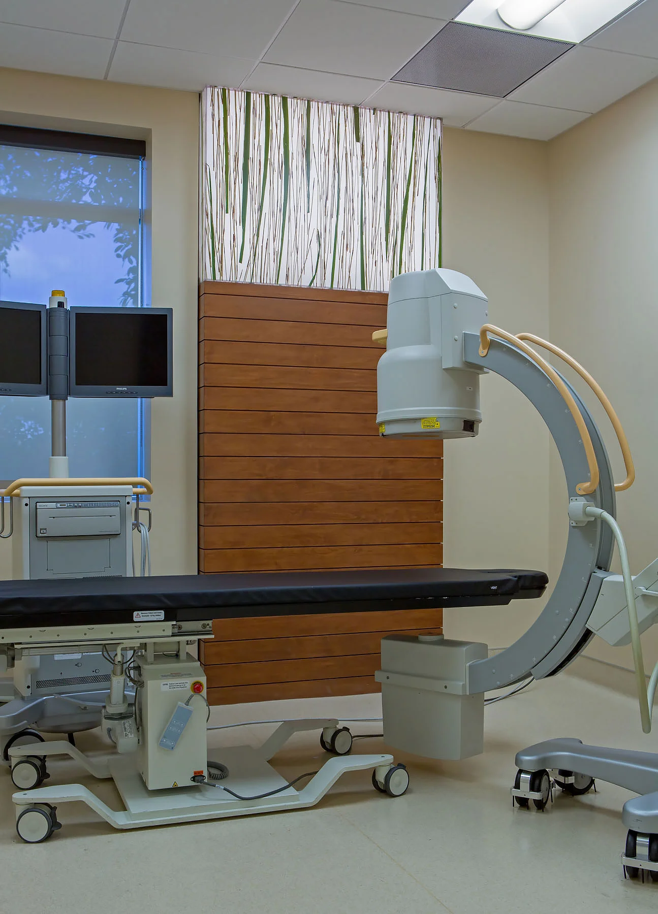 Basic-Spine-Medical-5.jpg