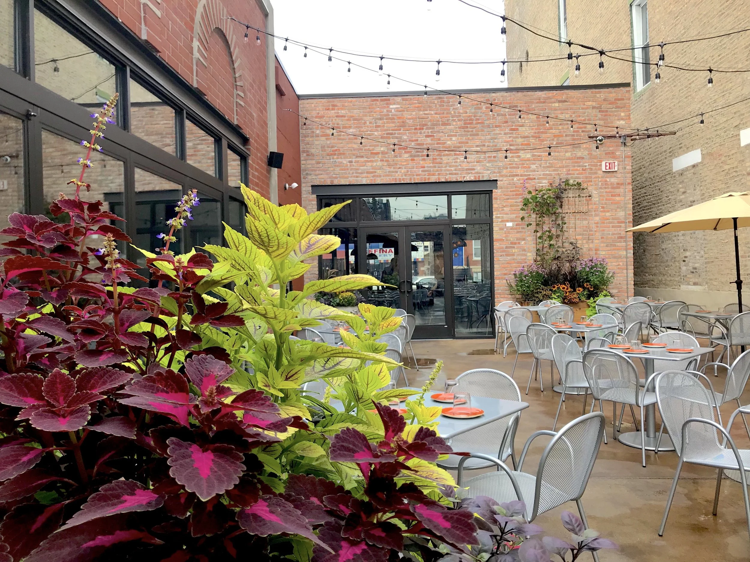 Monnie Burkes-Patio2.jpeg