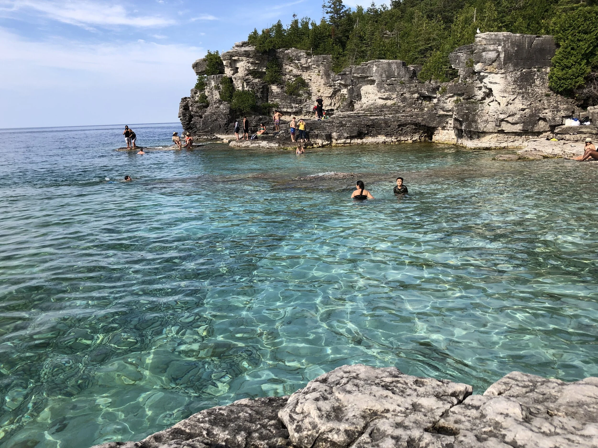 Notre cerveau comme un poisson dans l’eau