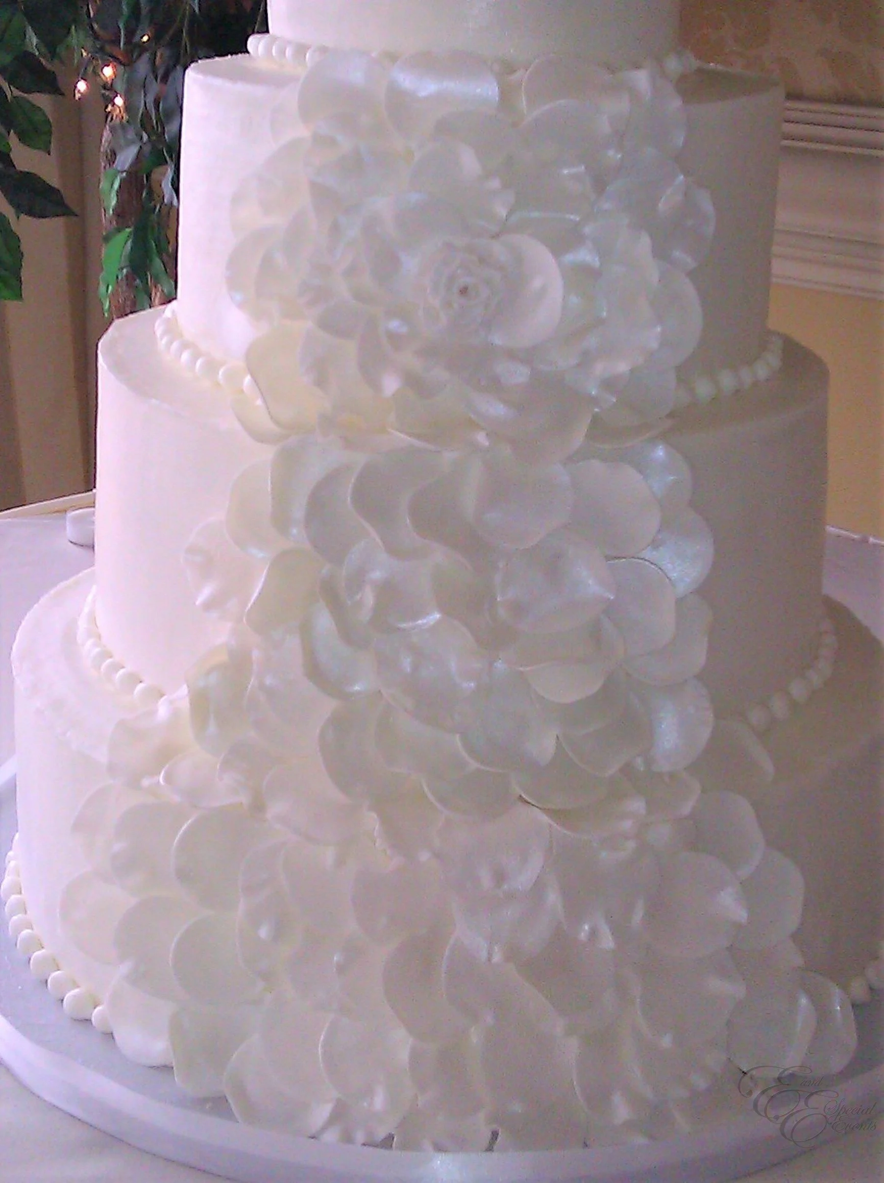 E_E_Special_Events_Elegant_Wedding_Cakes_Virginia_Beach_Hampton_Roads2.jpg