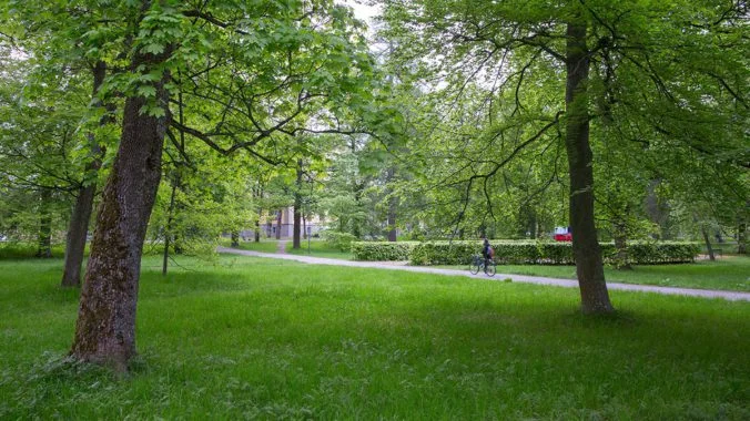 The Carolina Park. Photo: Uppsala Municipality.