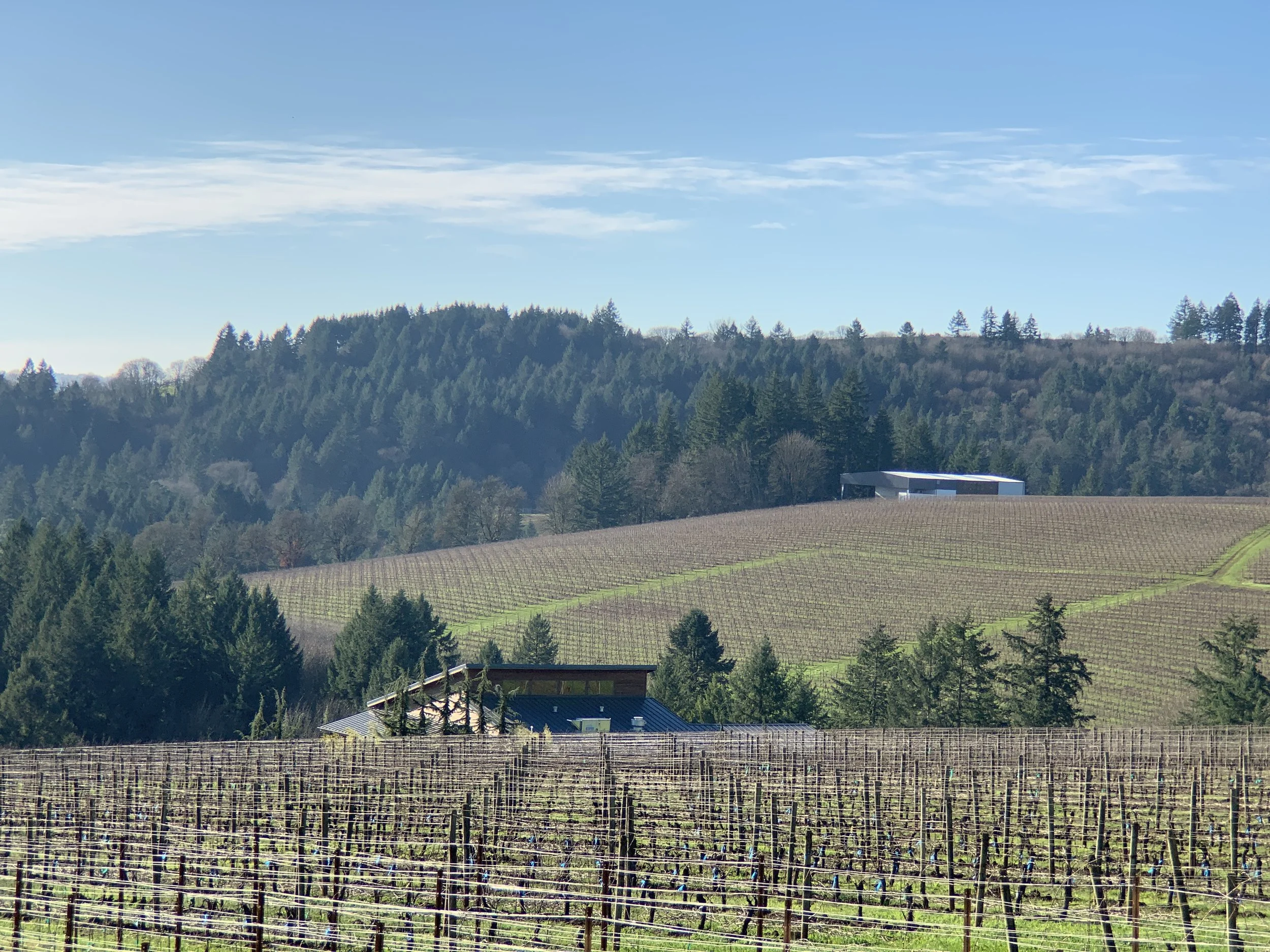 The vineyards in Portland make for some great wine and great times.