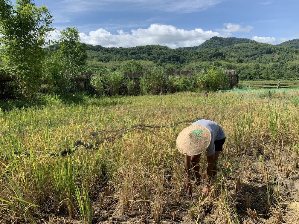 2019-07-07 09.17.04.jpg