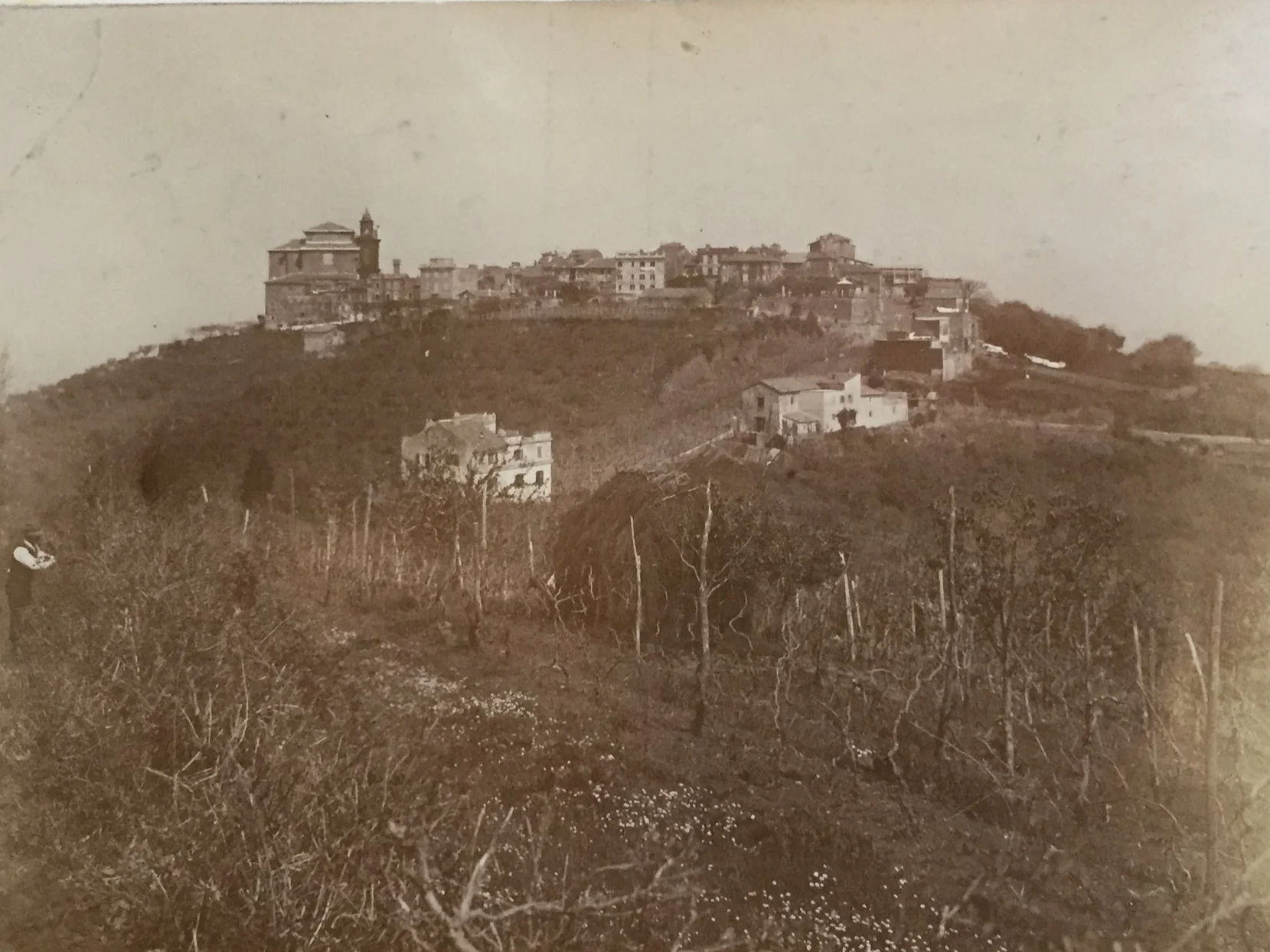 Monte Porzio Catone, 1909 All of the images of Monte Porzio below are taken from an album of photographs of 1909 and 1910 in the Venerable English College Archives.