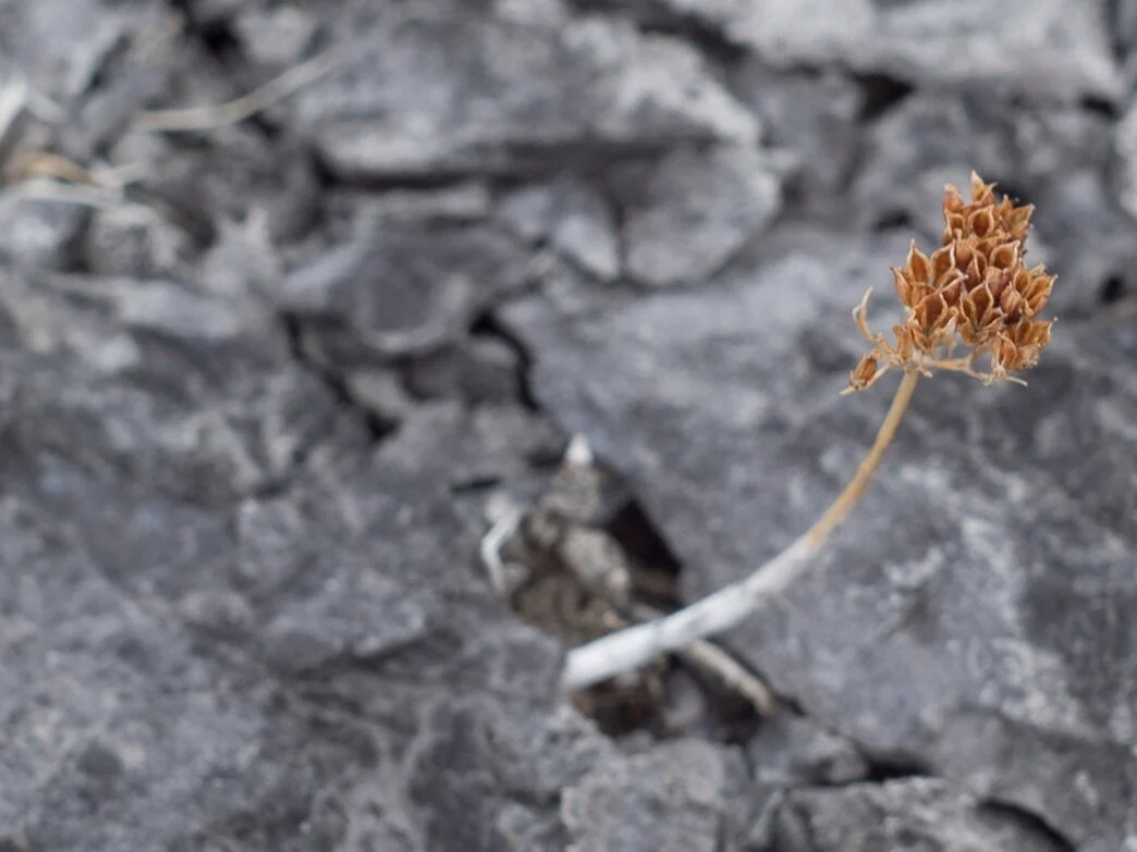 PERSON OVER DOCTRINE