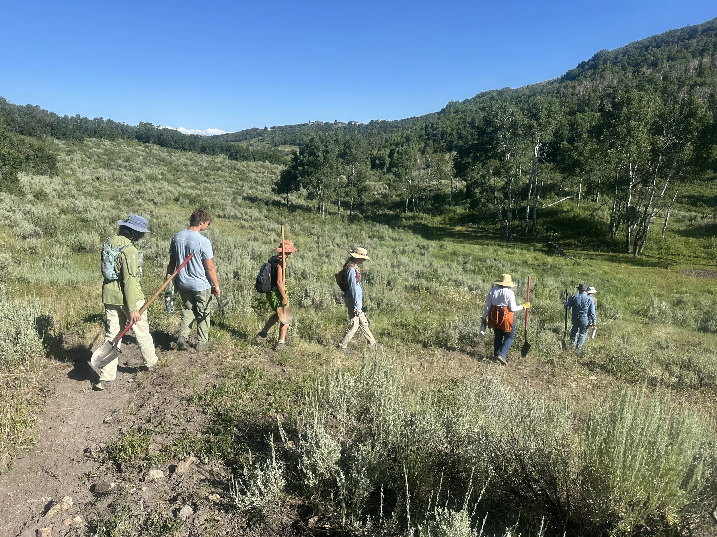 Nature Hike