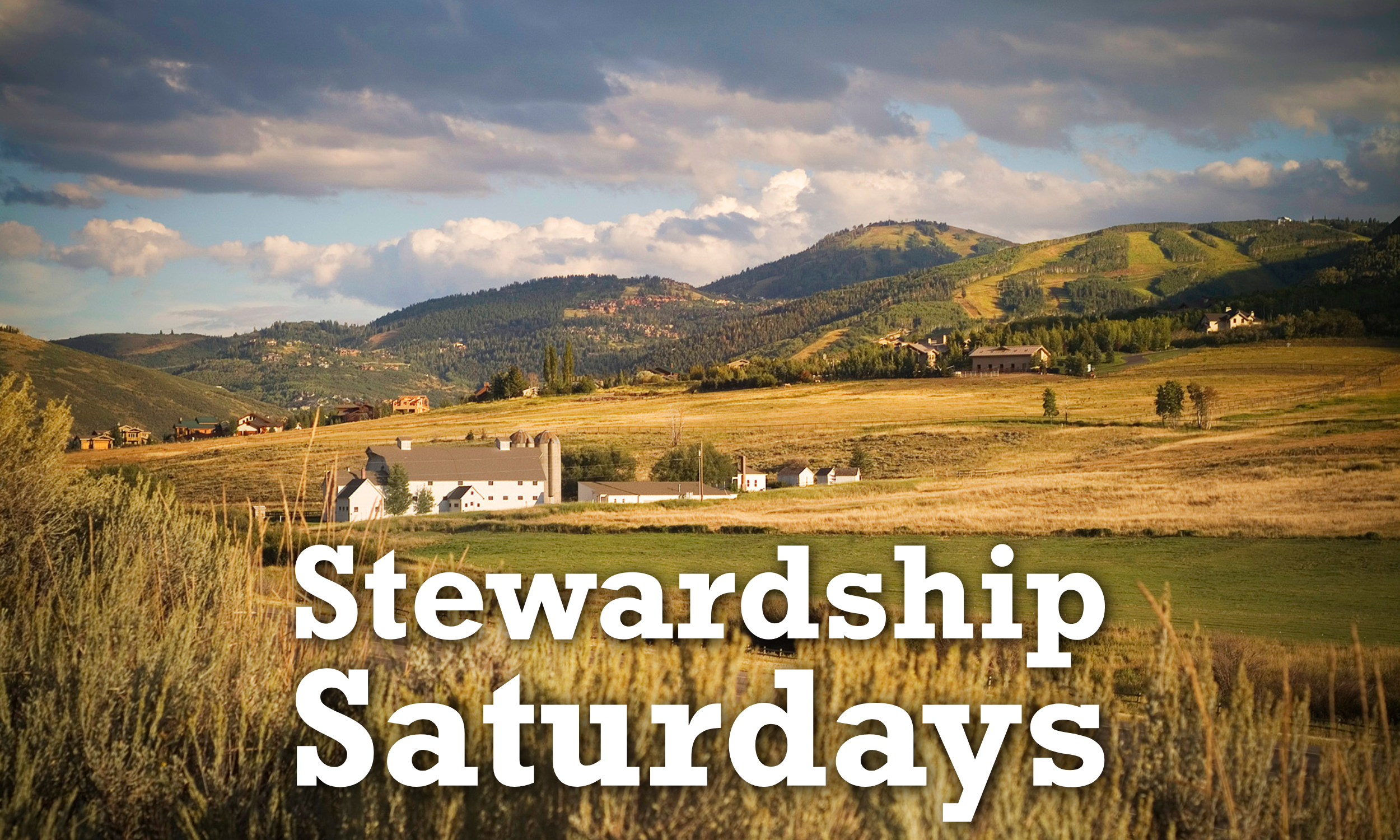 Stewardship Saturday - Rooting for Marchant Meadows