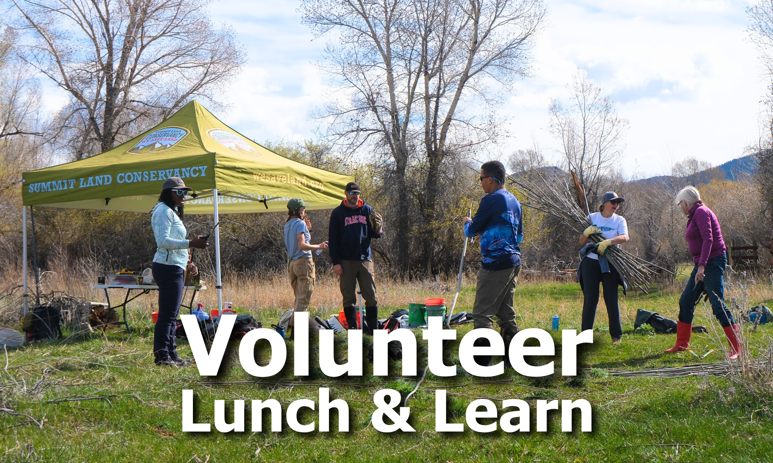 Volunteer Lunch &amp; Learn