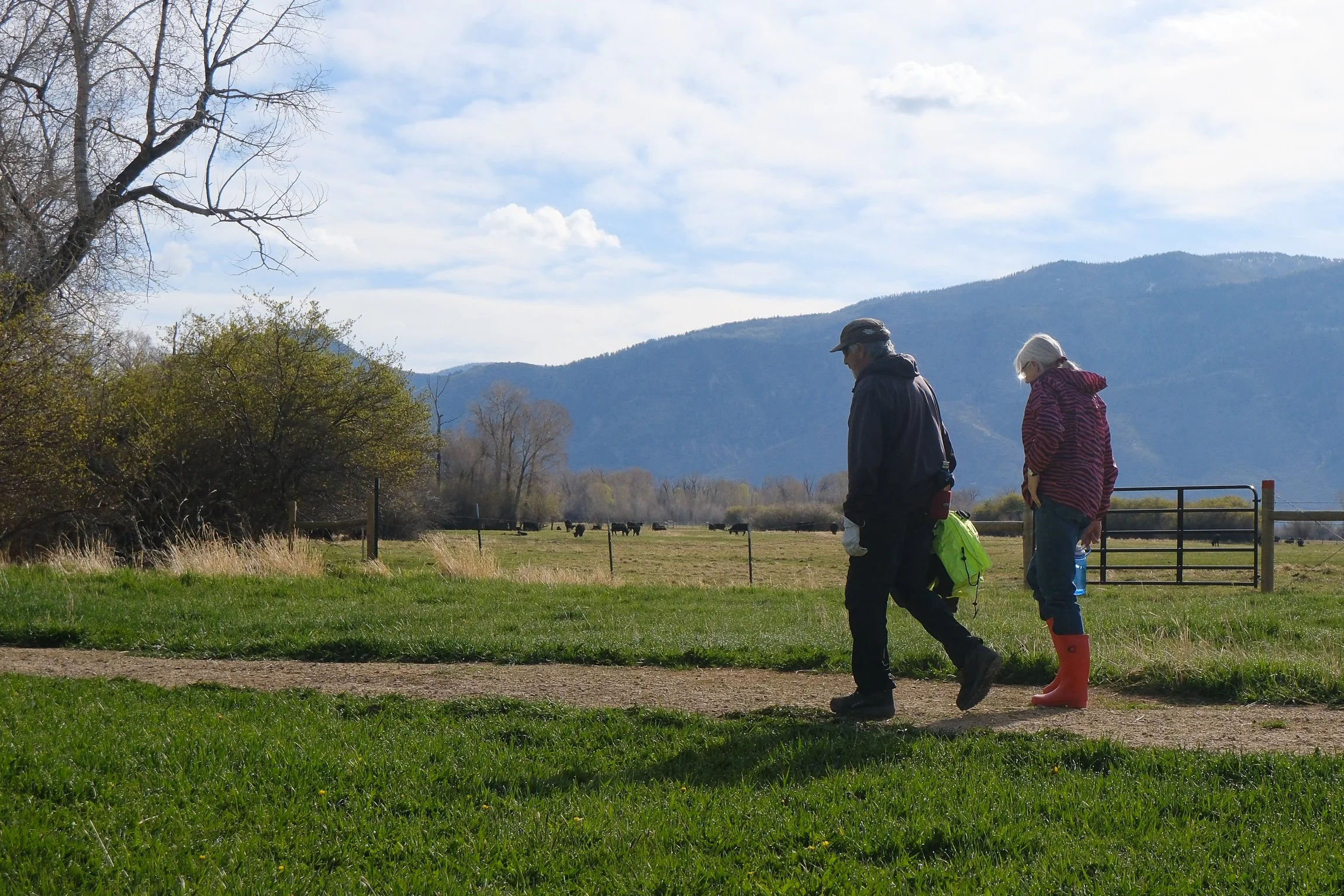 SLC - 4-11-26-18.jpg