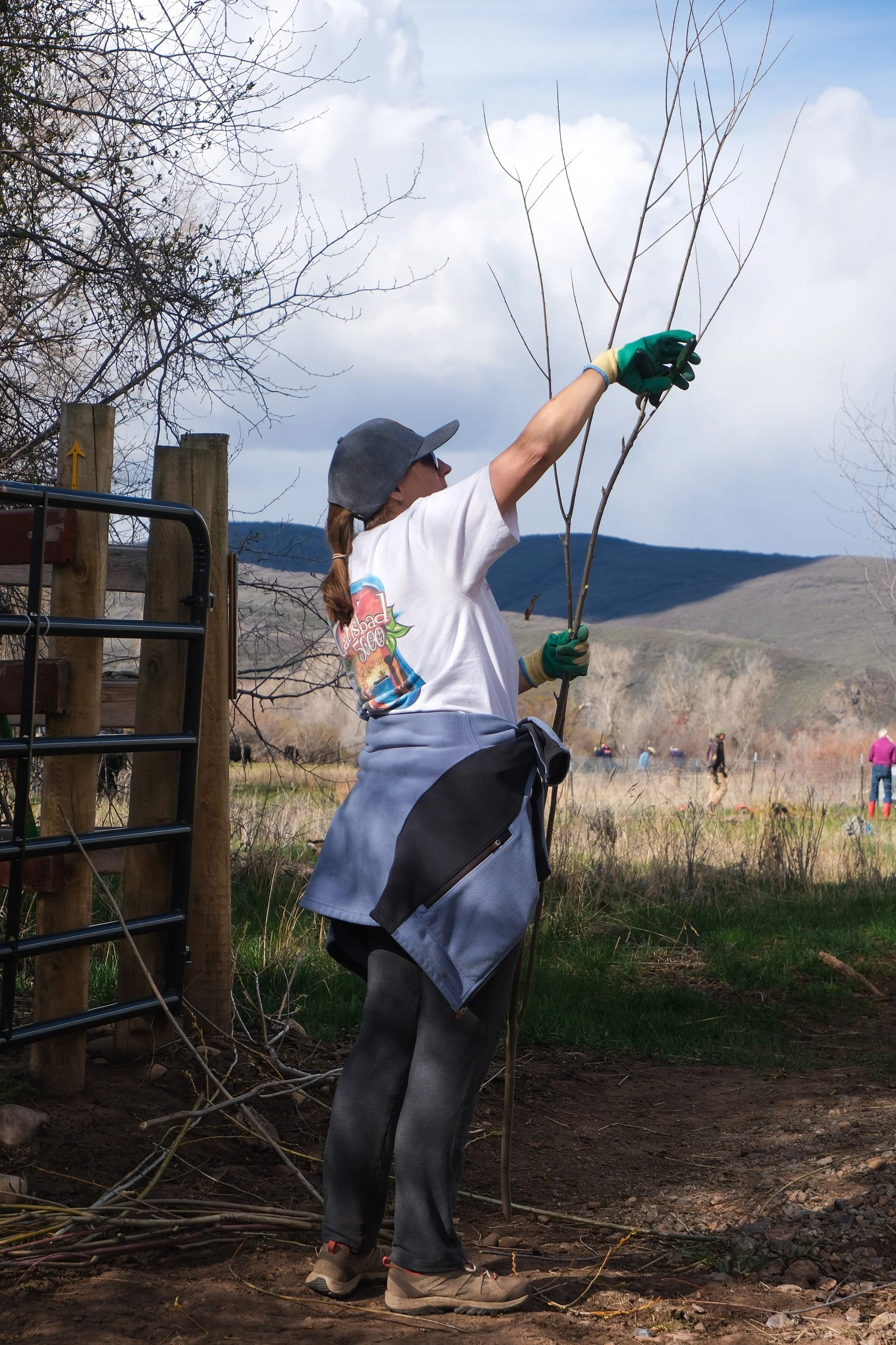 SLC - 4-11-26-12.jpg