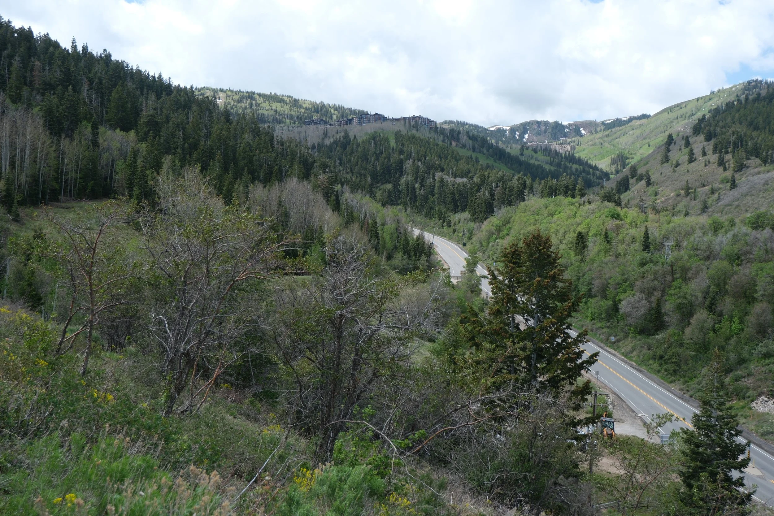 DSCF5461.JPG