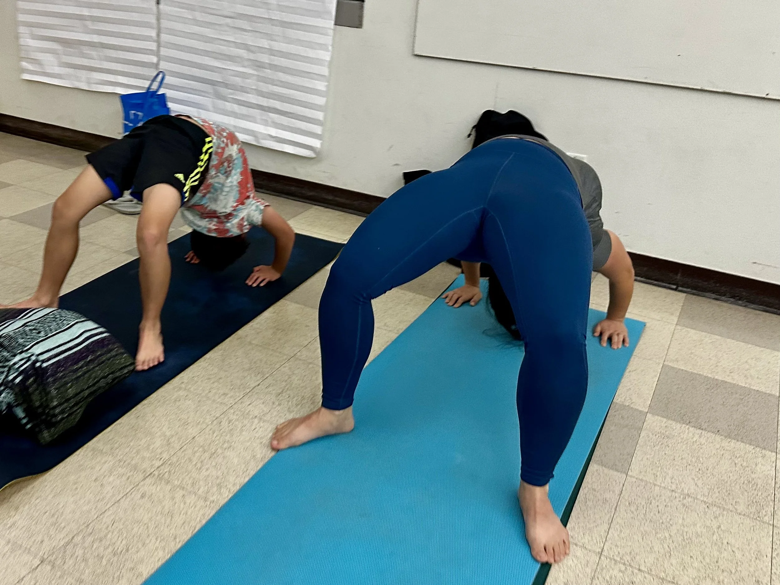 YOGA GAL CARMEL VALLEY RECREATION CENTER