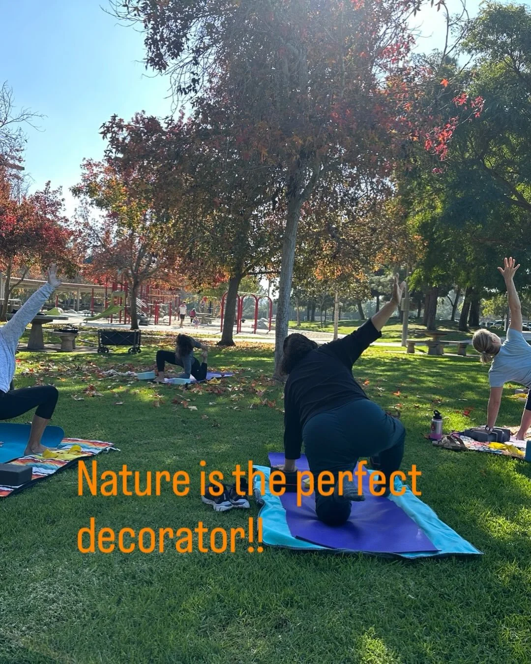 fall leaves to decorate our beautiful outdoor space!  #fallyoga #yoga40plus #mobilitywork