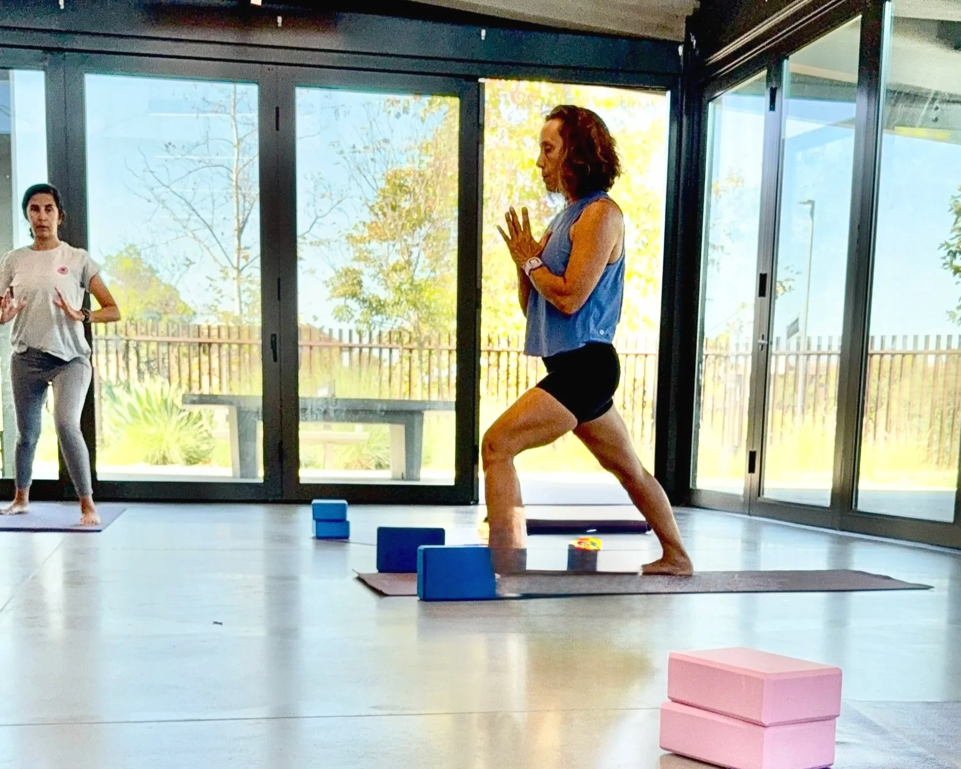 Mobility, Standing Balance, and Longevity YogaFor mature students in North County