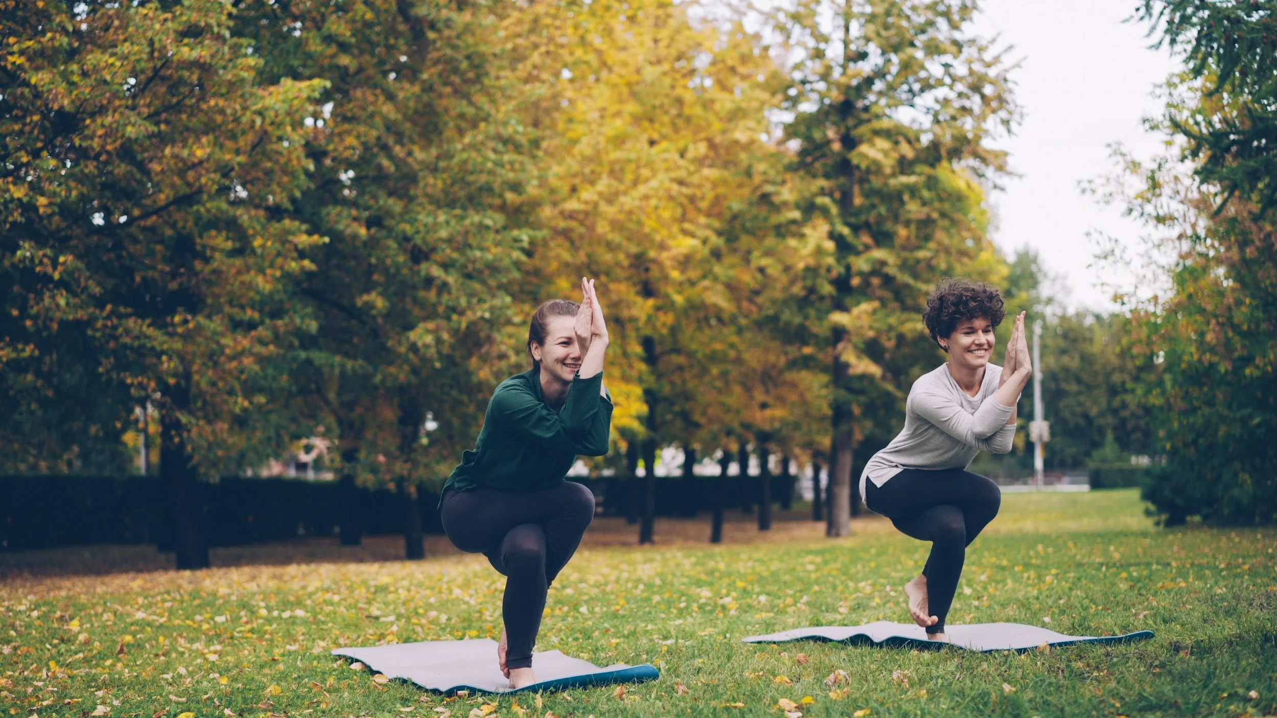 Eagle Pose (Garudasana)