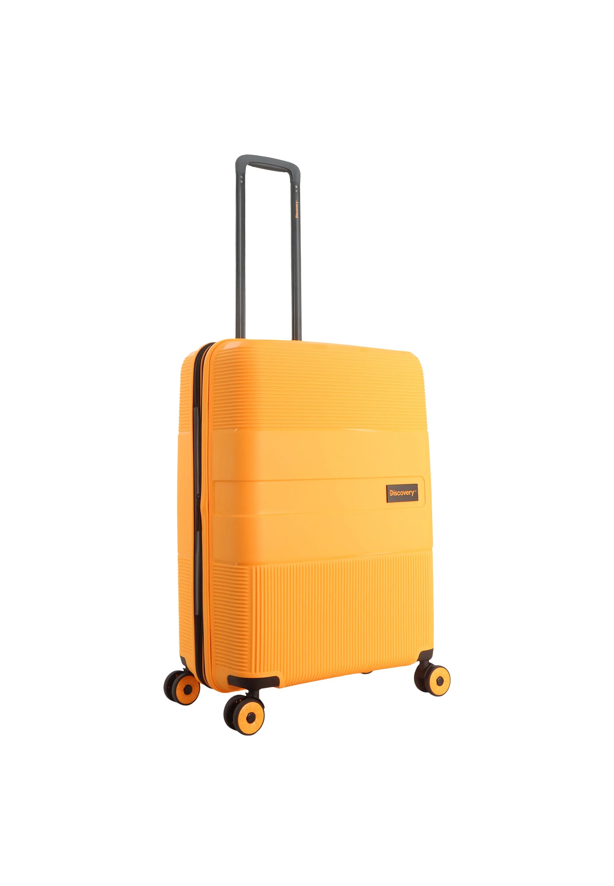 DL02H0.60.69^^ORANGE^^6.jpg