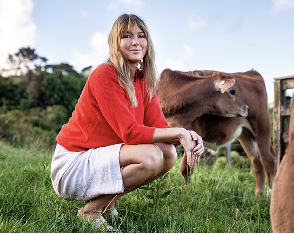 cm106cows.jpg