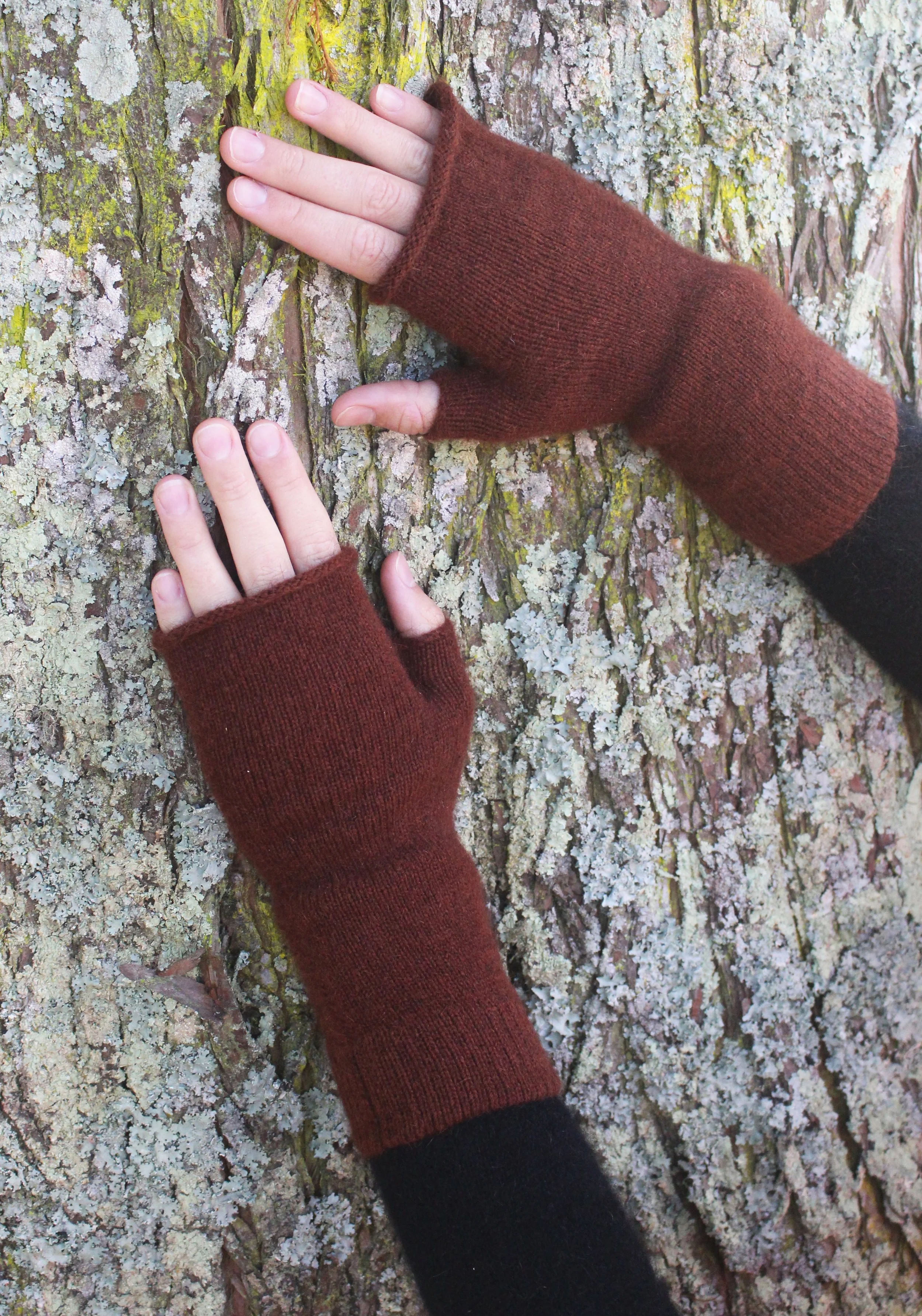 9897 Russet Glove.jpg