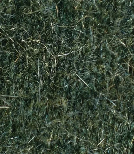 moss.jpg