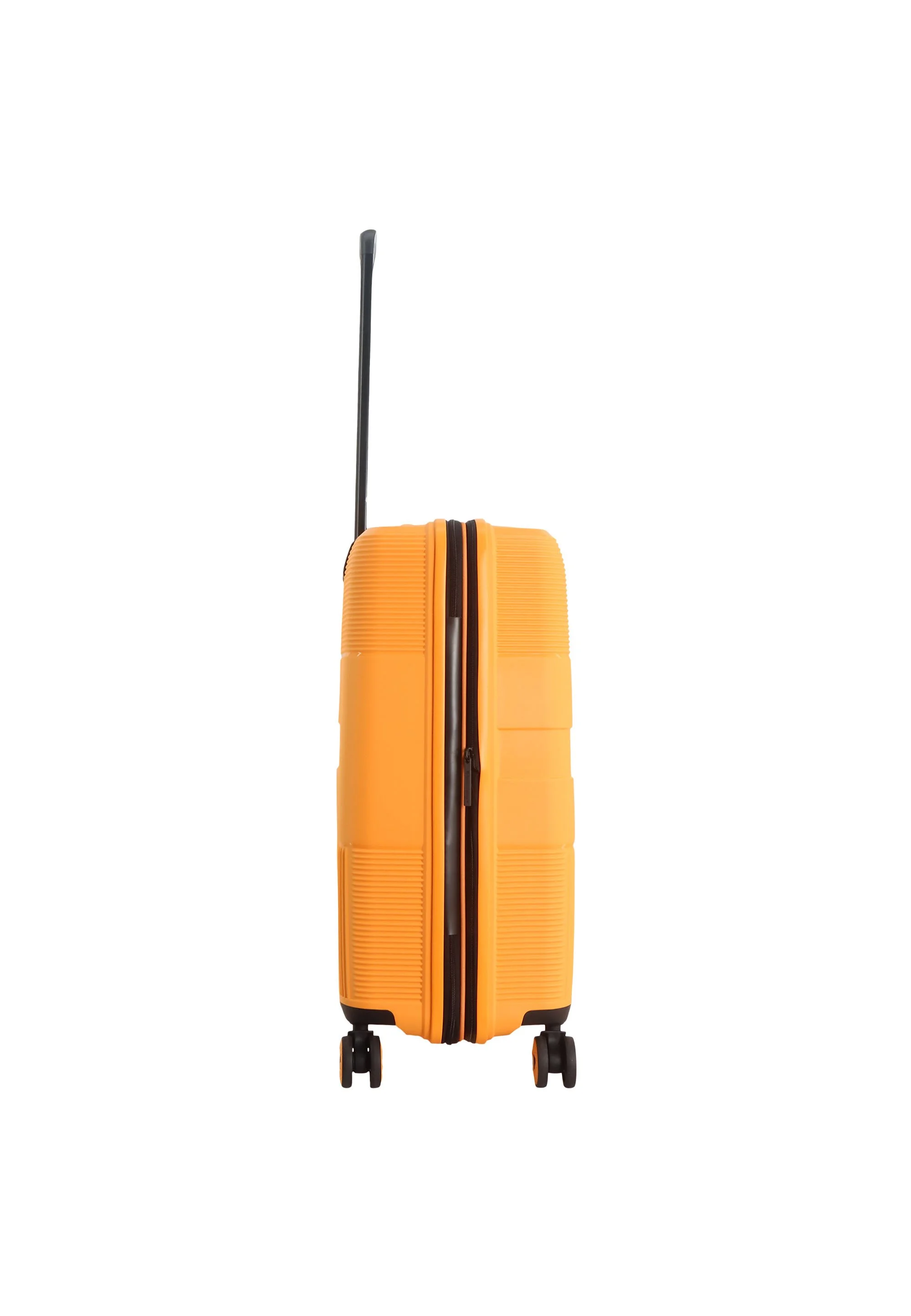 DL02H0.60.69^^ORANGE^^5.jpg