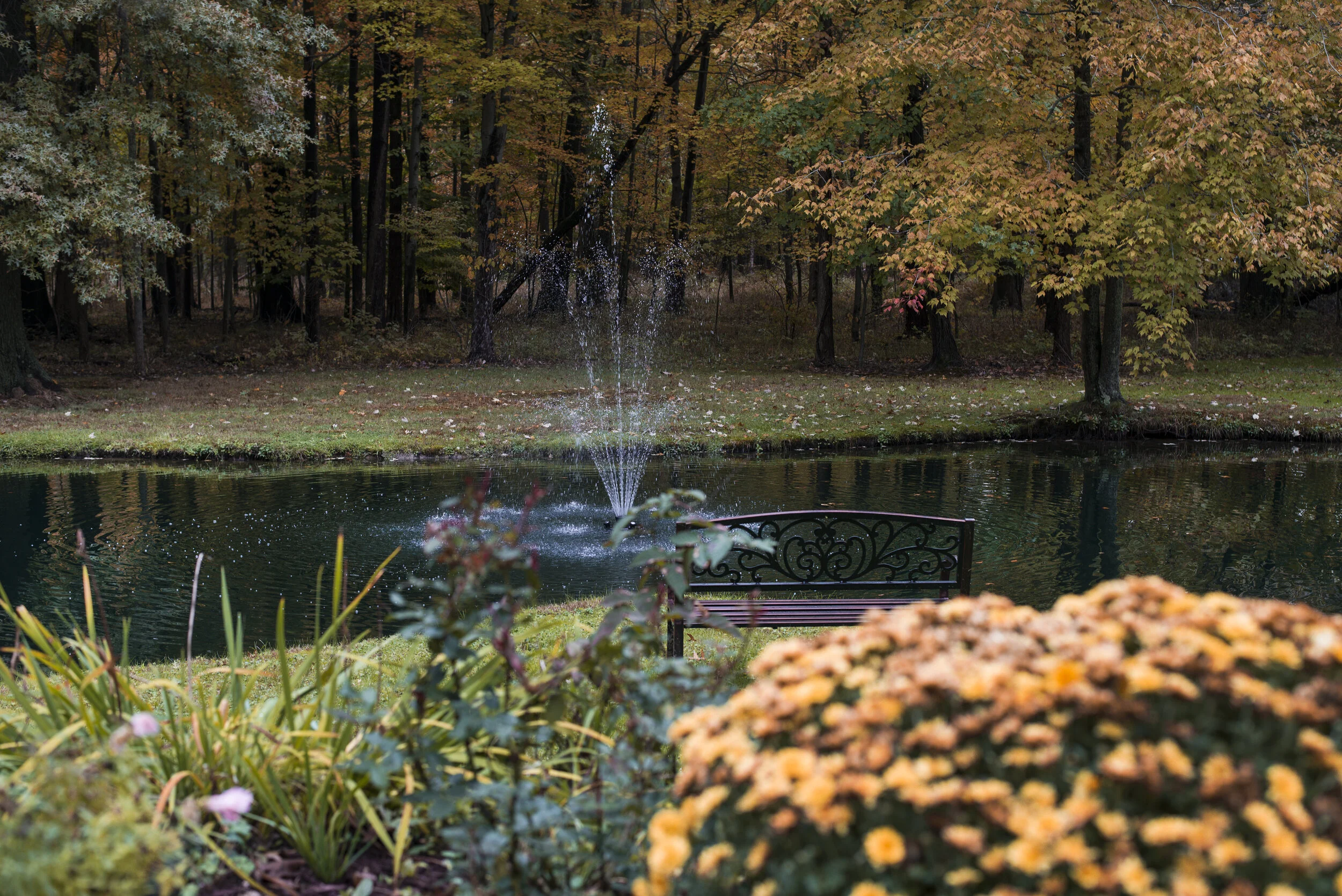 Shady Oaks Farm Bed and Breakfast