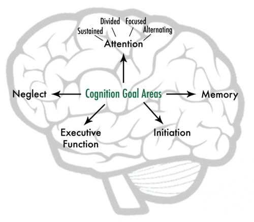 CognitionGraphic_Website.png