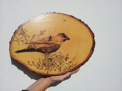 – Juniper Under a Cedar Waxwing –