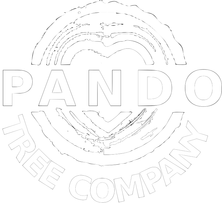 Pando Tree Company