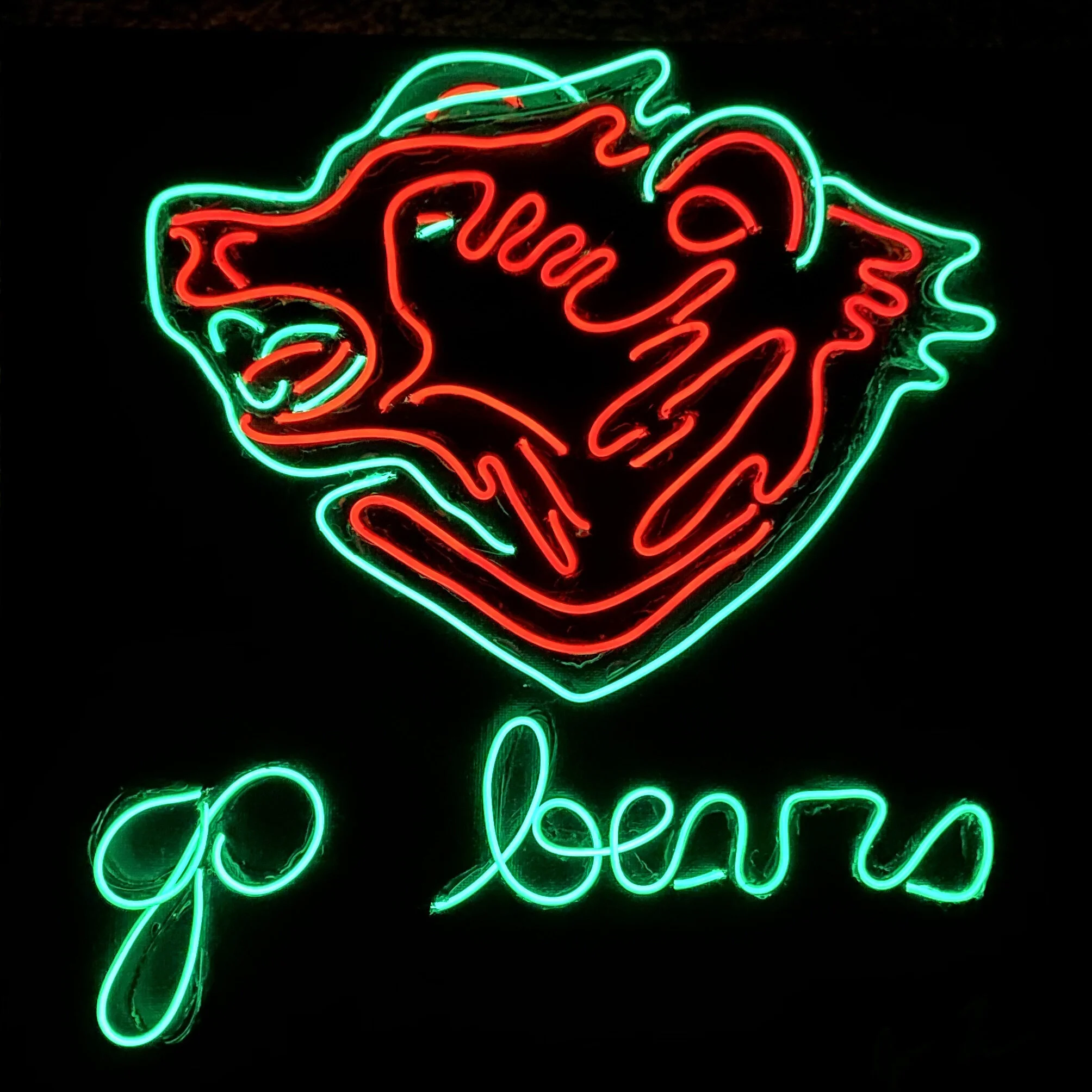 neon signs cover.jpeg