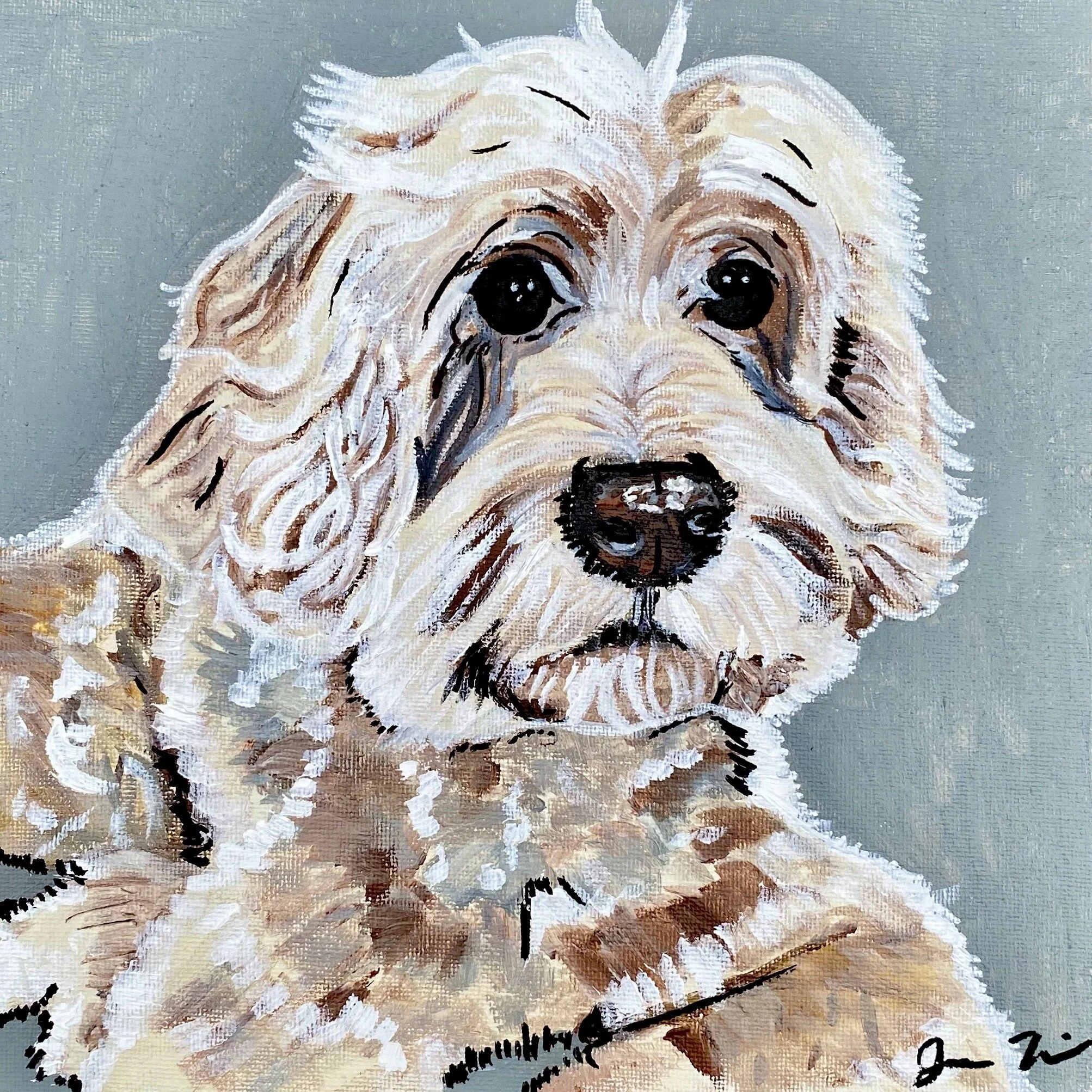 pet portraits cover.jpeg