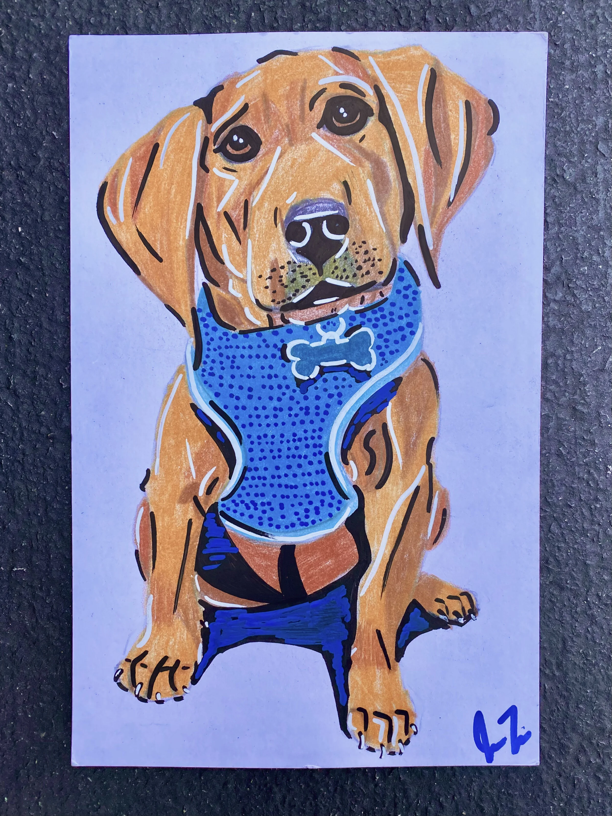 Blue - Colored Pencil on 7.5x10in Cardstock