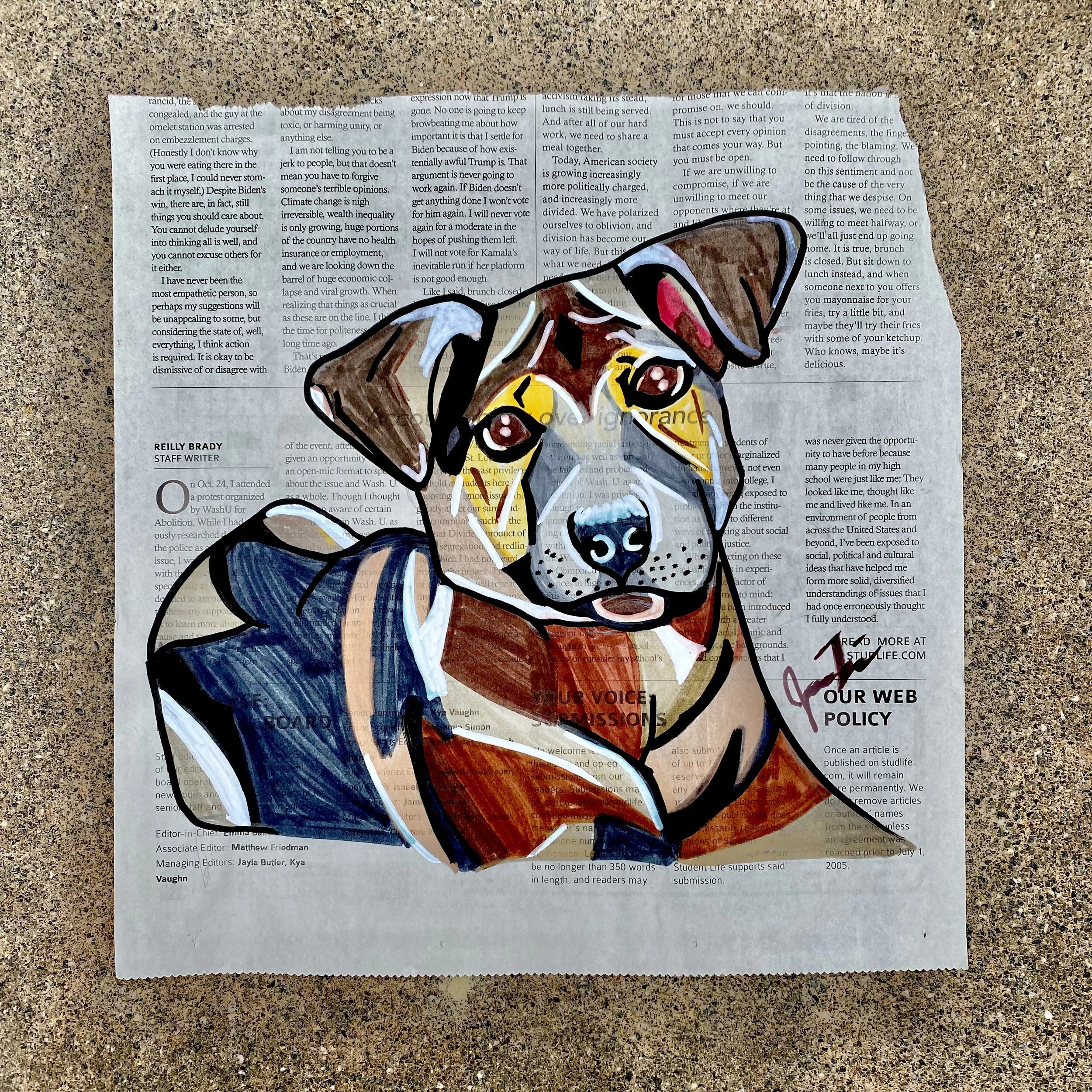 Baby Chief - Marker on Newspaper