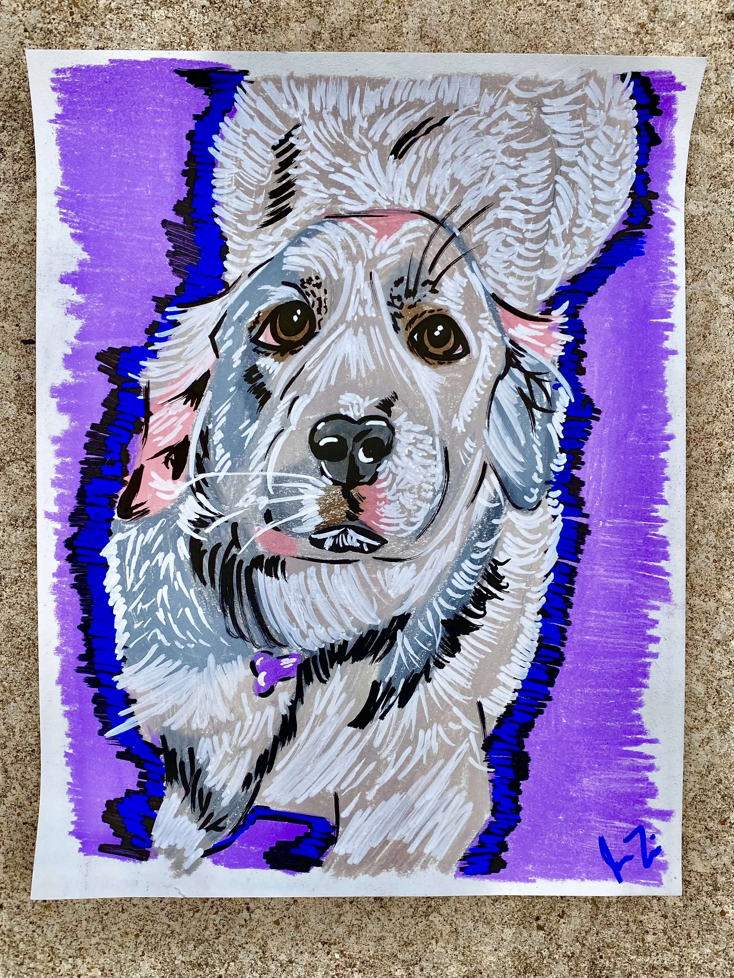 Bella - Colored Pencil on 9x12in Paper