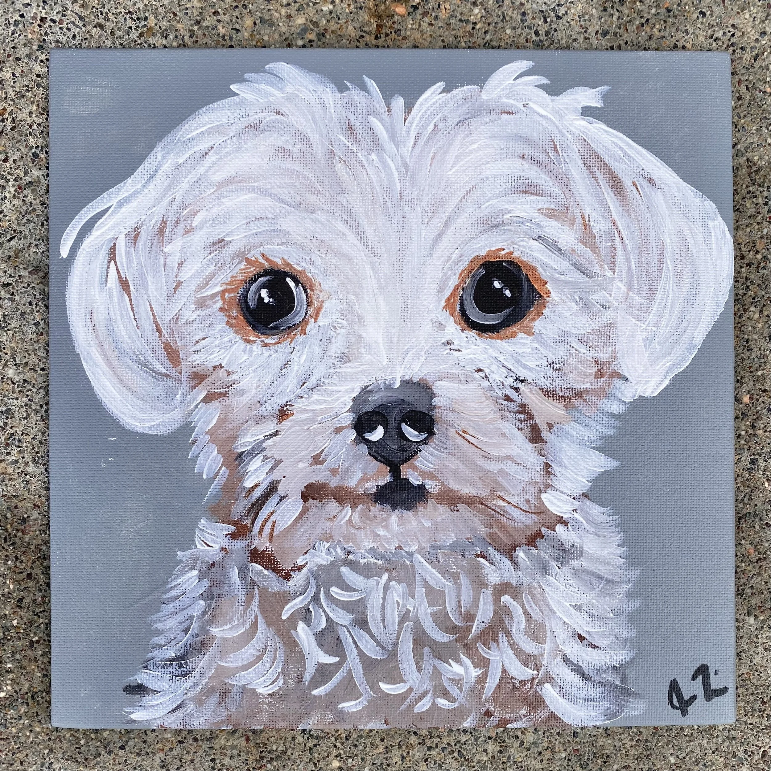 Marshall - Acrylic on 8x8in Canvas
