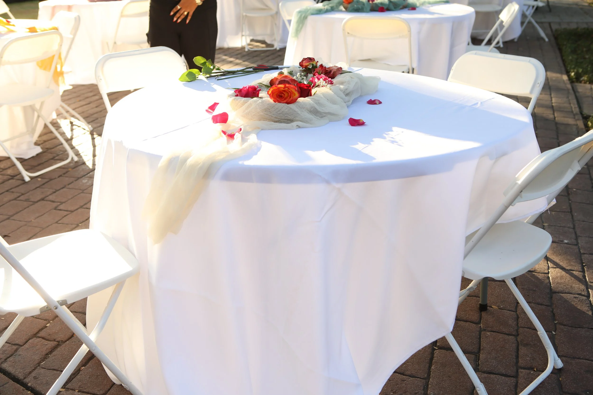 Copy of 010A2319.JPG