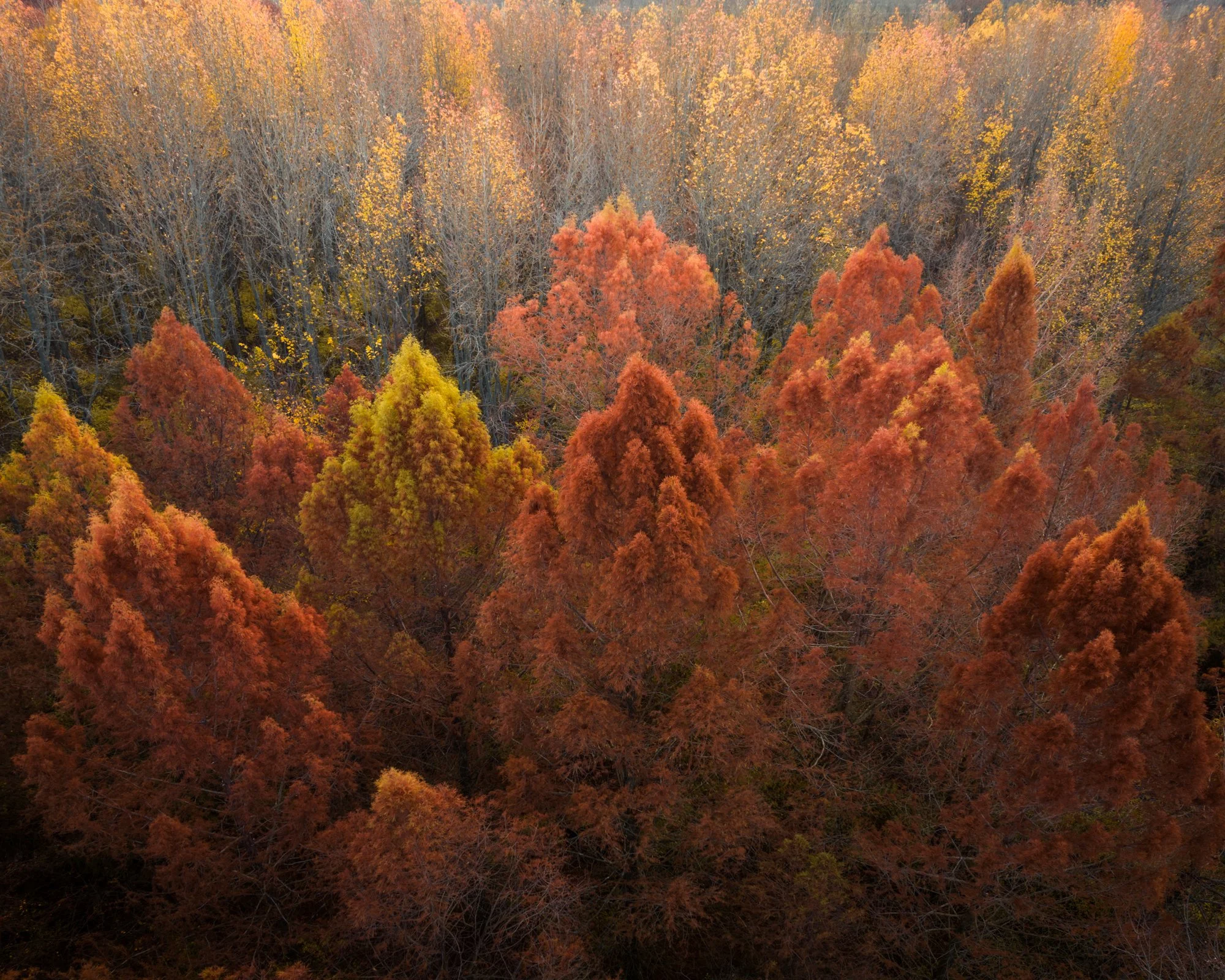 DJI_0074-HDR-Pano-Edit.jpg