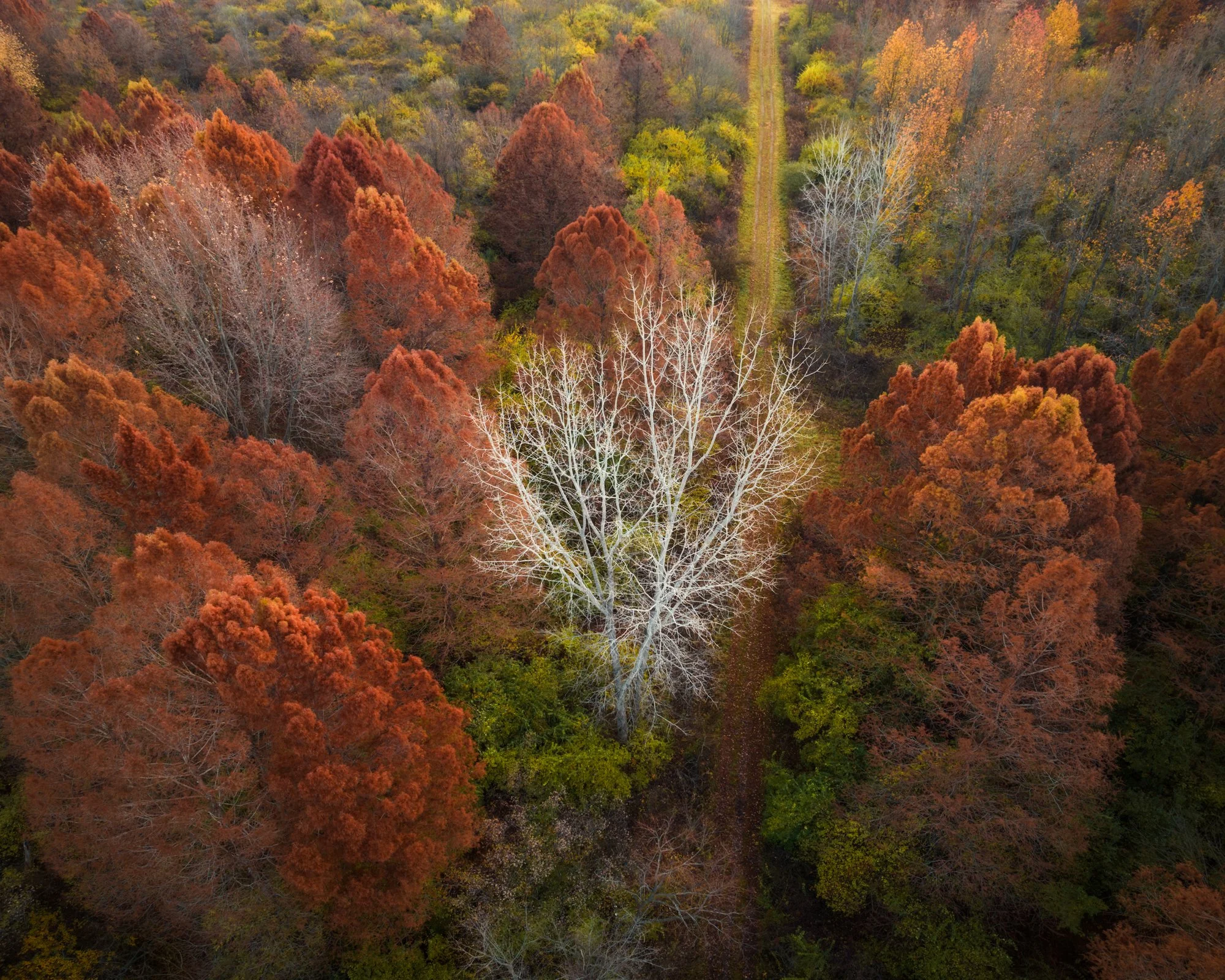 DJI_0081-HDR-Pano-Edit.jpg