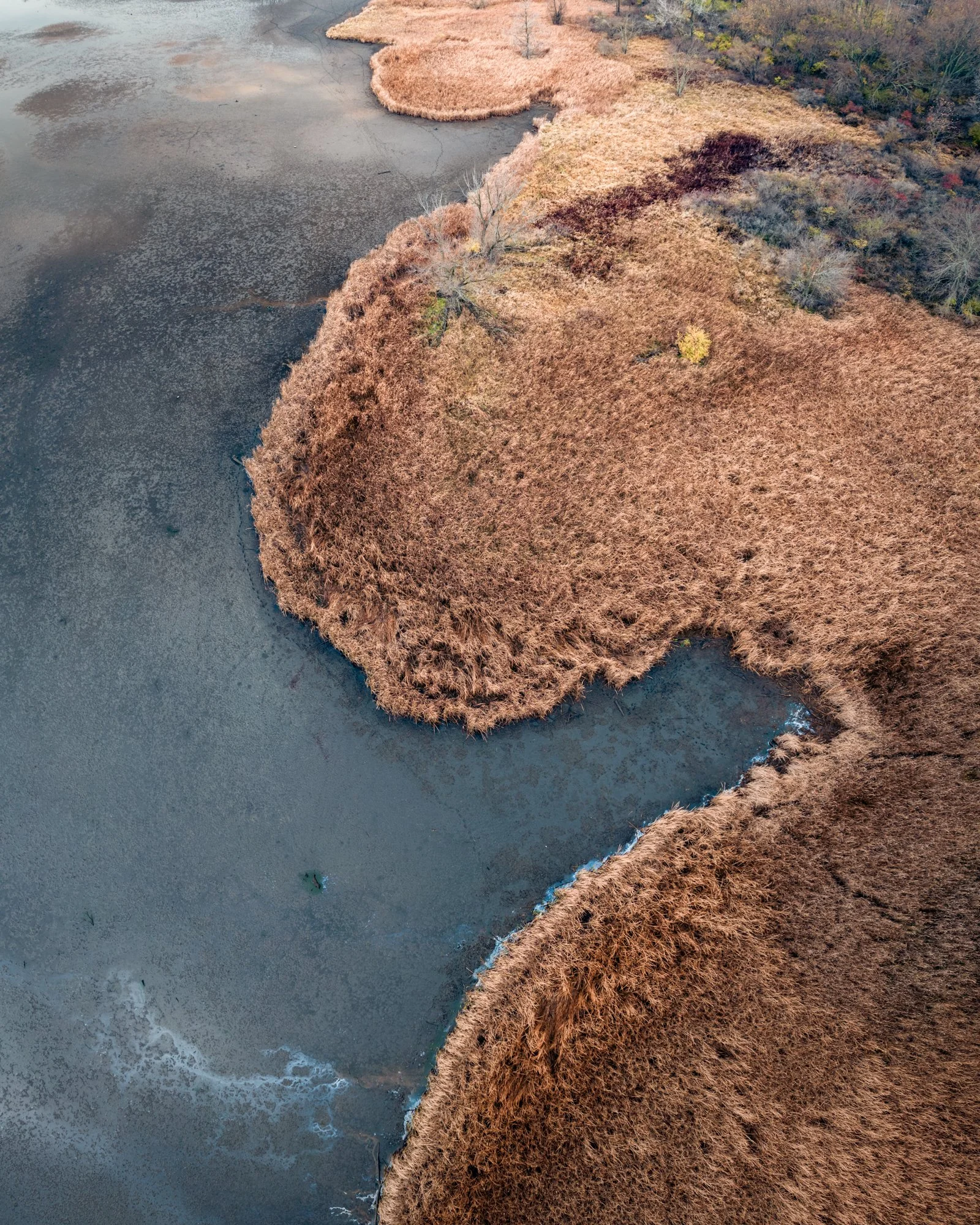 DJI_0099-HDR-Pano-Edit.jpg
